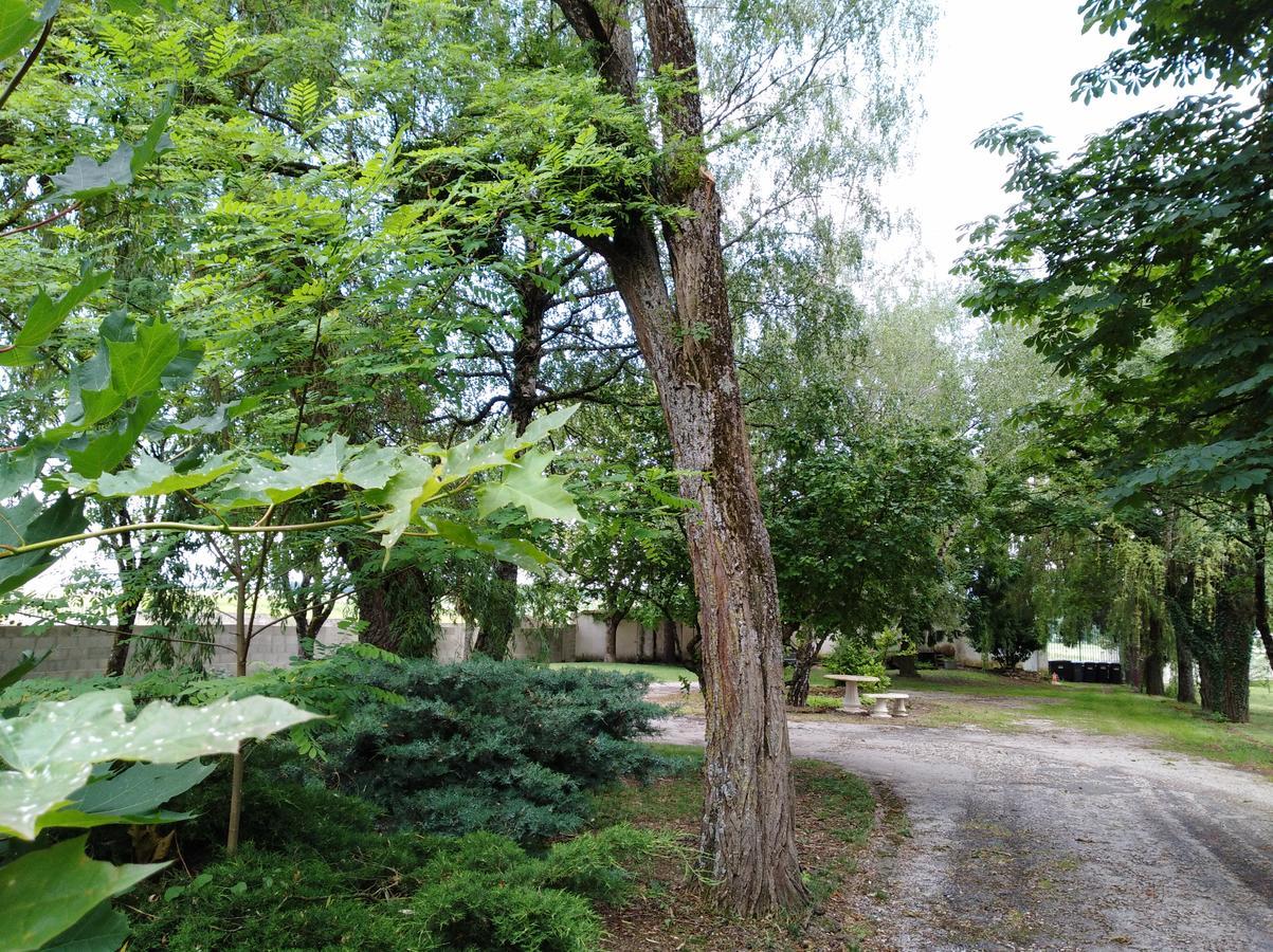 Hotel-Restaurant "La Gremelle" Ladoix-Serrigny Kültér fotó
